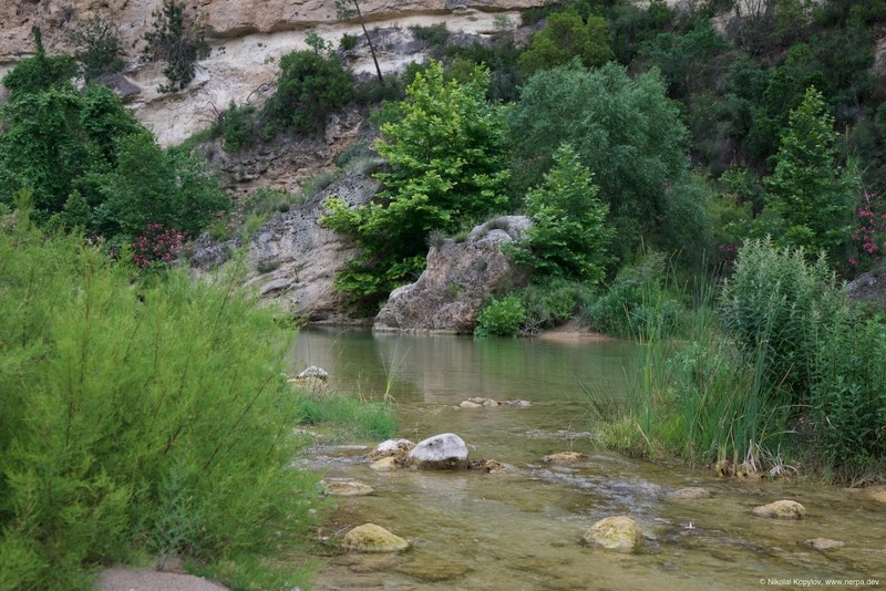 Kapuz