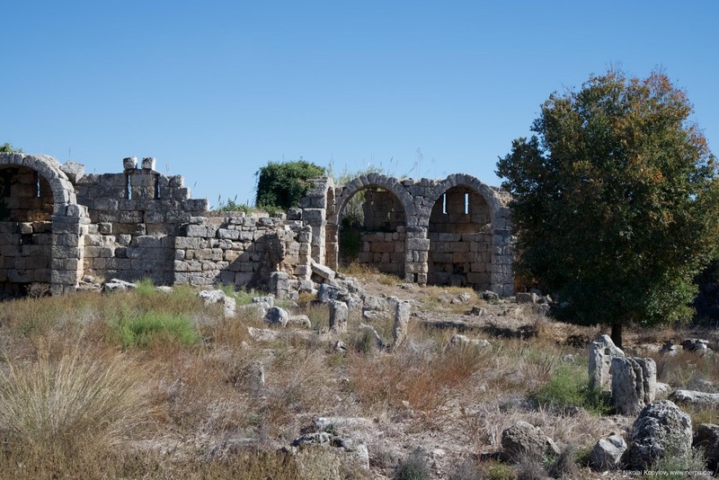 Perge