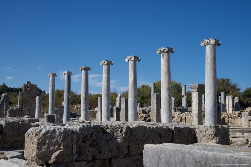 Perge
