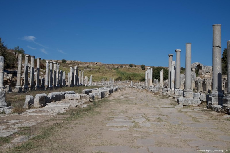 Perge