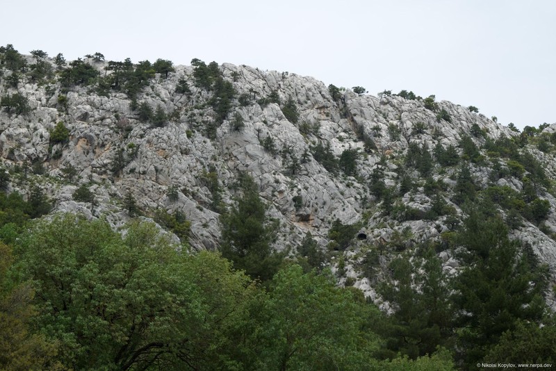 Termessos