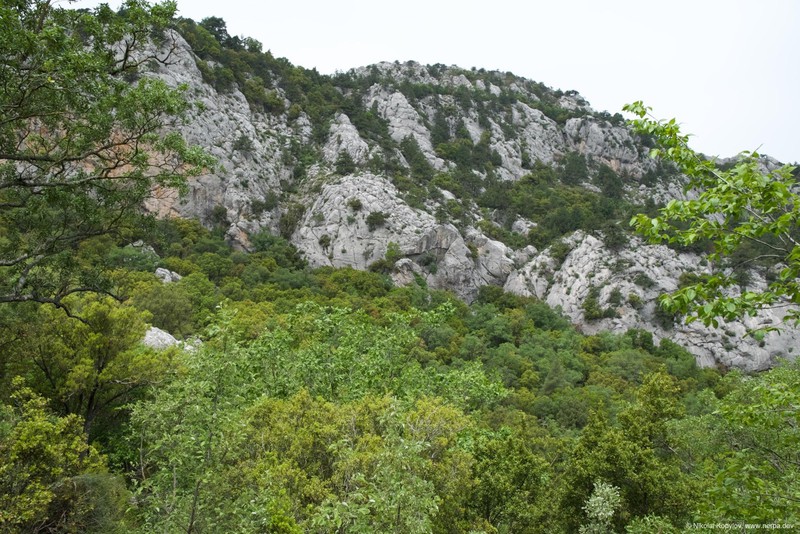 Termessos