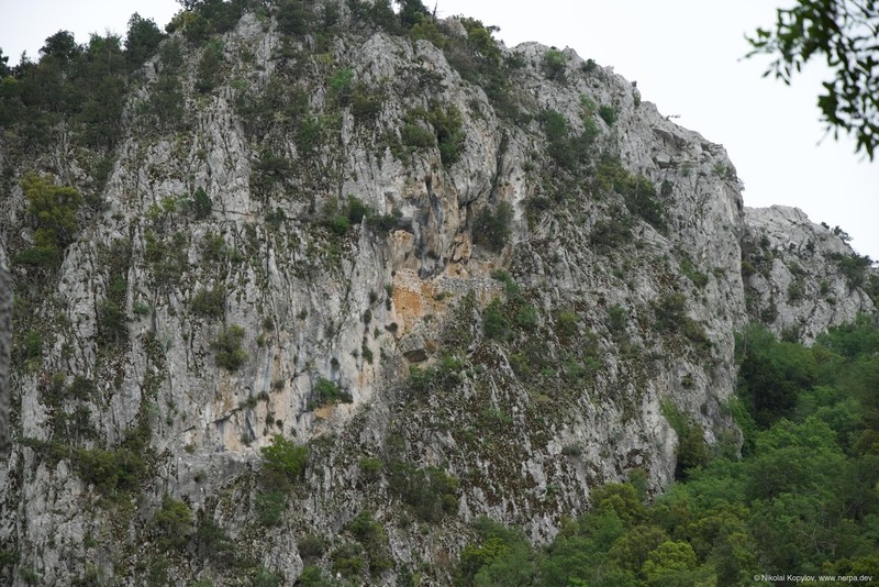 Termessos