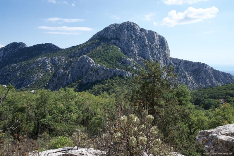 Termessos