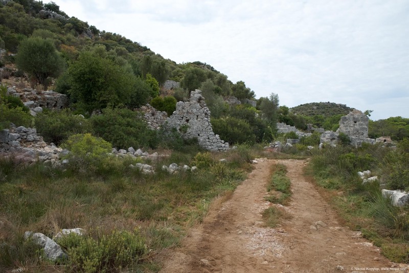 Andriake