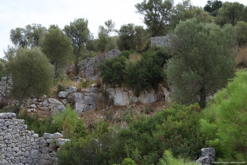 Andriake