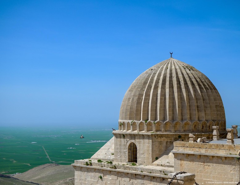 Mardin
