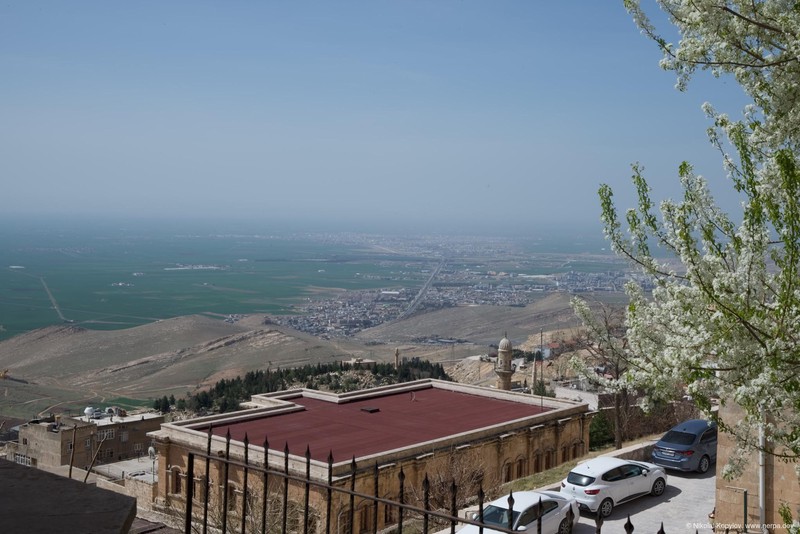 Mardin