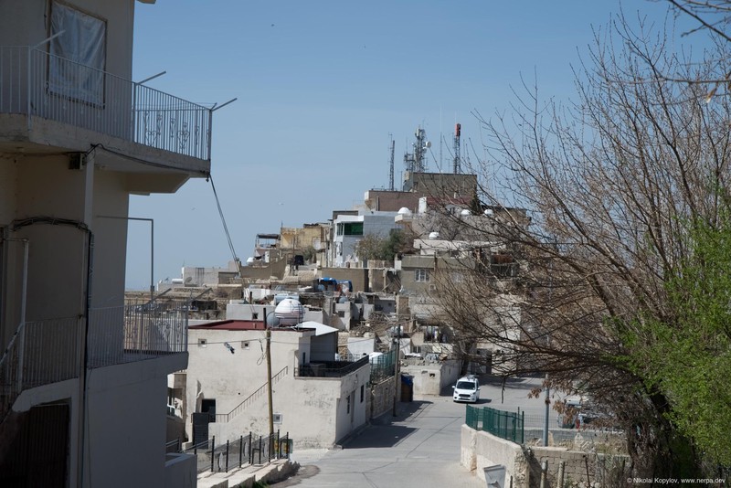 Mardin