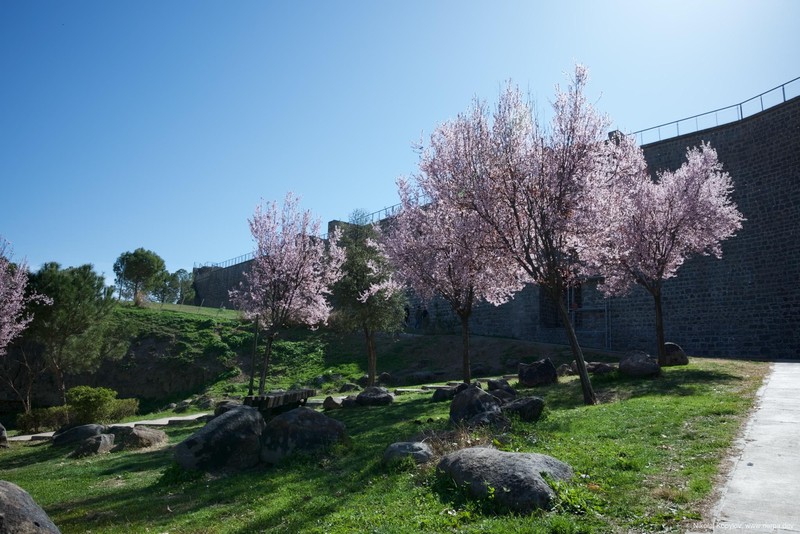 Diyarbakır