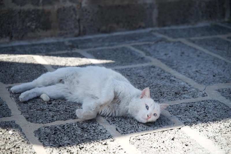 Diyarbakır