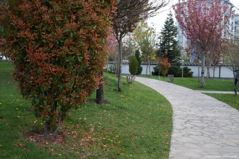 Konya