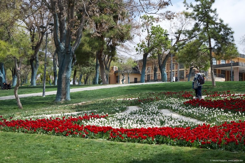 Konya