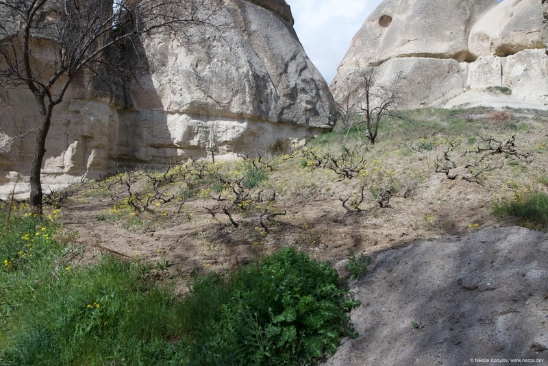 Cappadocia