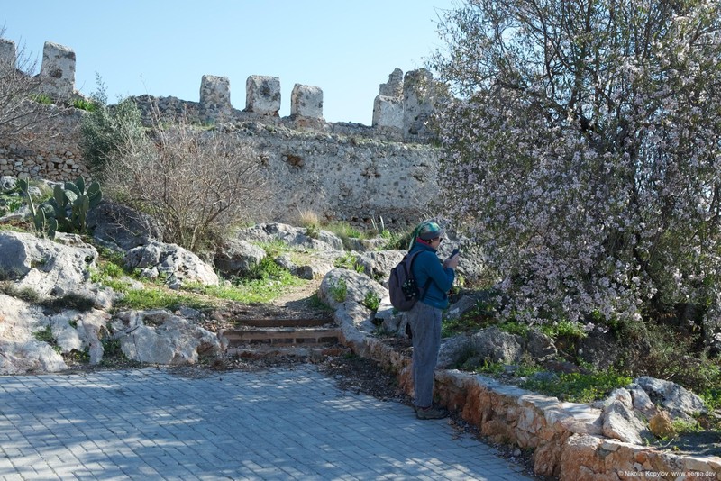 Alanya